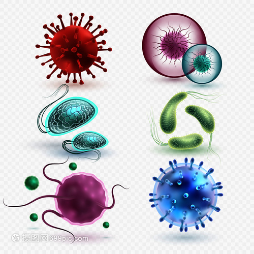 3D現實中的微生物與細菌 隔離、媒集與微觀世界的探索